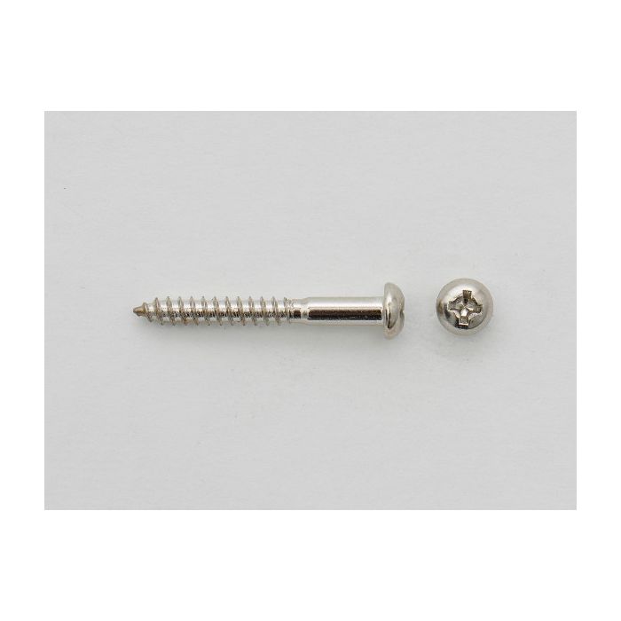 Tremolo Bearing Screw