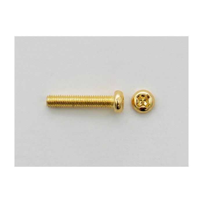 Screw M3x16 PU/Bridge