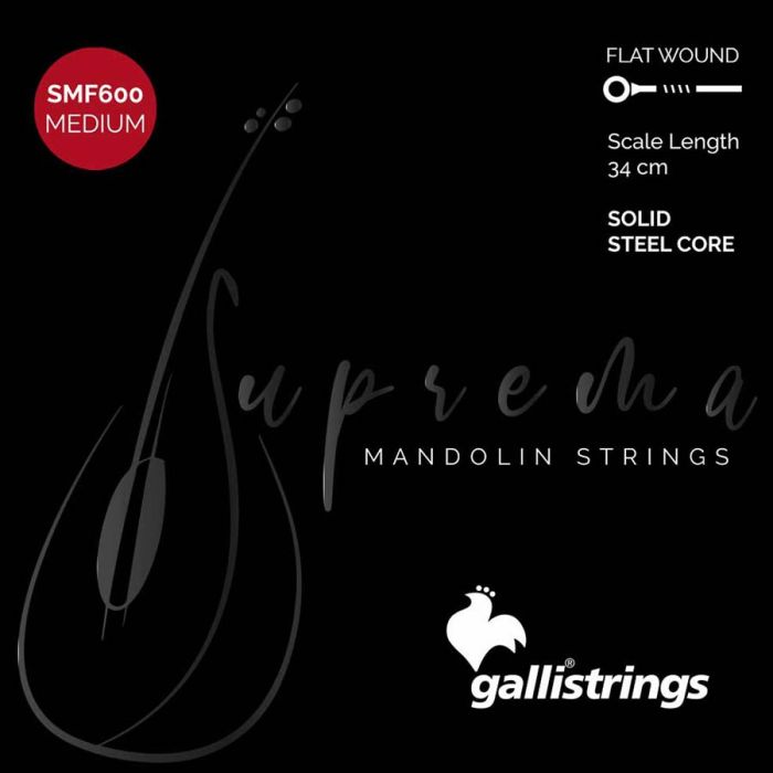 Galli Suprema string set mandolin, chrome steel flatwound, medium, 010-015-022-033 loop end