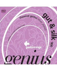 Galli Genius Gut & Silk string set classic, normal tension, 025-031-037-030-036-044