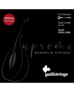 Galli Suprema string set mandolin