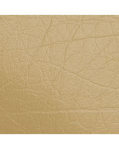 Tolex Mesa-Boogie Vanilla, SAMPLE